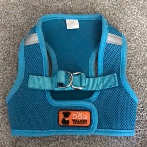 Dog harness teal size medium. Used only once